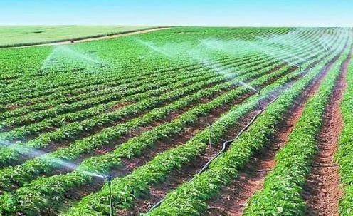 啊,不玩,好痛,嗯,好舒服,用力视频农田高 效节水灌溉